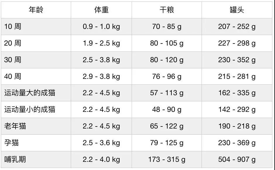 猫吃啥我吃啥现在准备吃猫了（我到底应该给我的猫吃什么——生食）