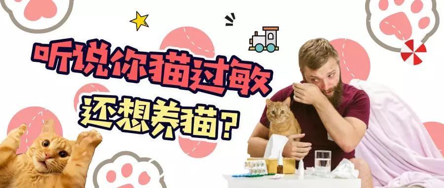 对猫过敏的人会对狗过敏吗（对猫过敏）