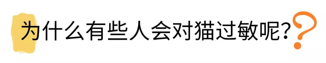 对猫过敏的人会对狗过敏吗（对猫过敏）