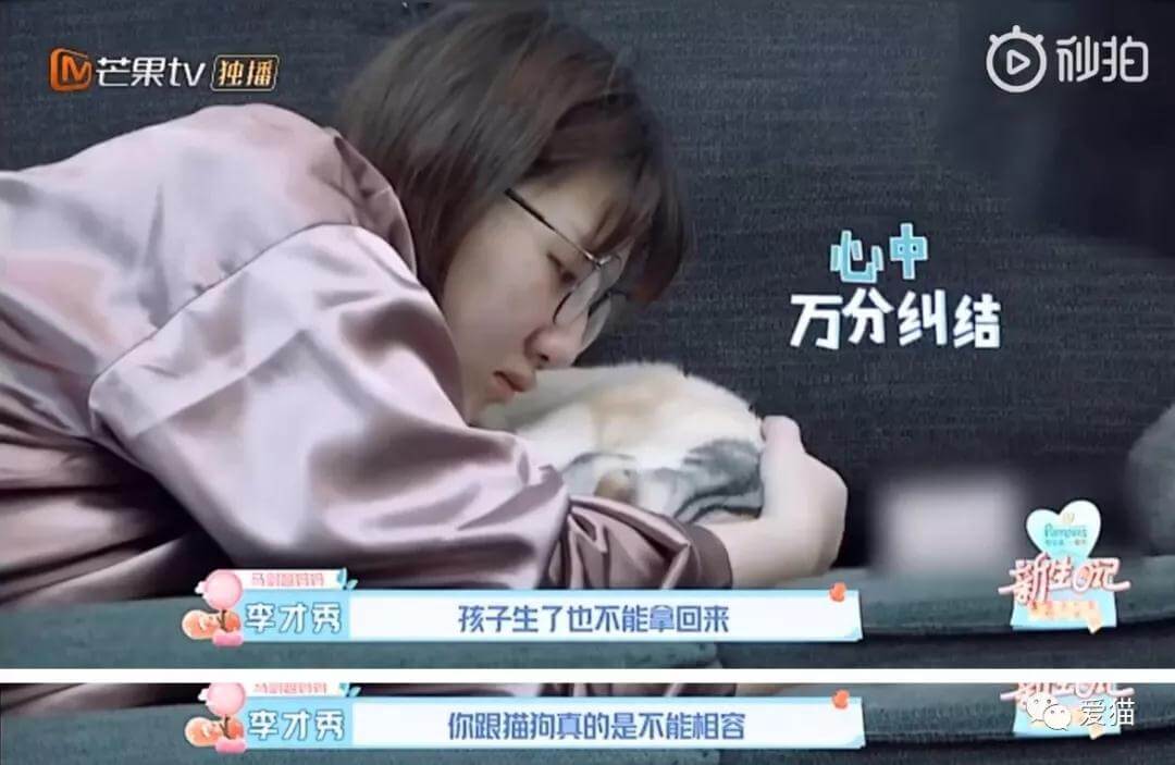 孕妇和宠物猫在一起有影响吗（孕妇能和猫一起吗）