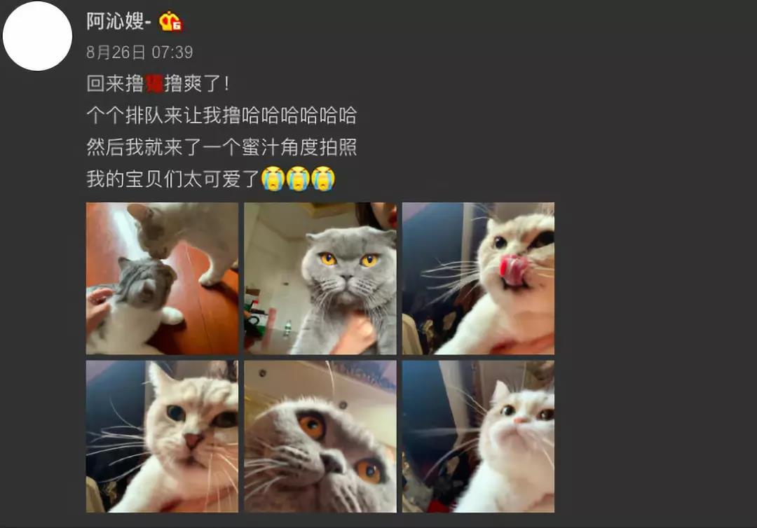 阿沁刘阳分手  渣男分手以后还要带走猫....阿沁刘阳分手？ 渣男分手以后还要带走猫....阿沁刘阳分手？ 渣男分手以后还要带走猫....阿沁刘阳分手？ 渣男分手以后还要带走猫....阿沁刘阳分手？ 渣男分手以后还要带走猫....阿沁刘阳分手？ 渣男分手以后还要带走猫....