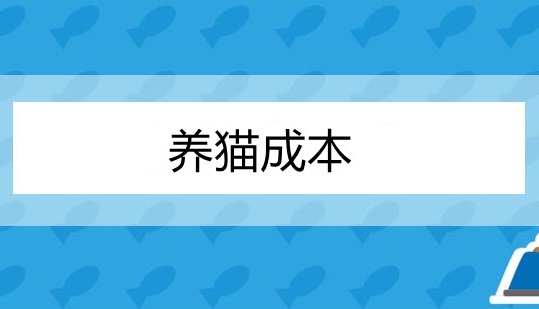 养猫成本（养猫成本大吗）