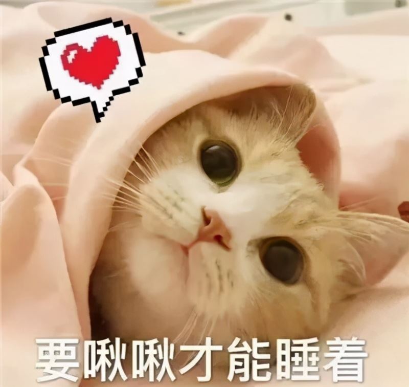 一只猫若被你“征服”了，那它这几样东西，你绝对能碰