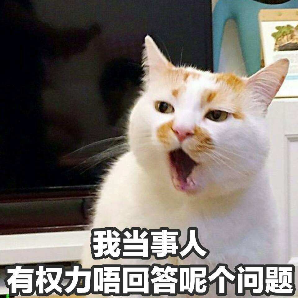 这些猫咪“性”冷知识，你可能还不知道