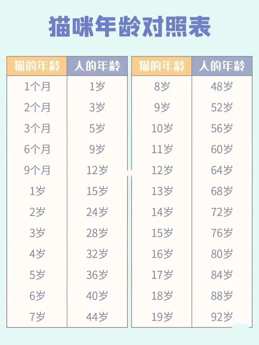 猫咪1岁=人类几岁？7岁其实是错的，附上最新年龄对照表