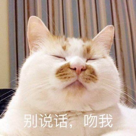 再次劝告：太多人有这些“病”，养猫是主要诱因