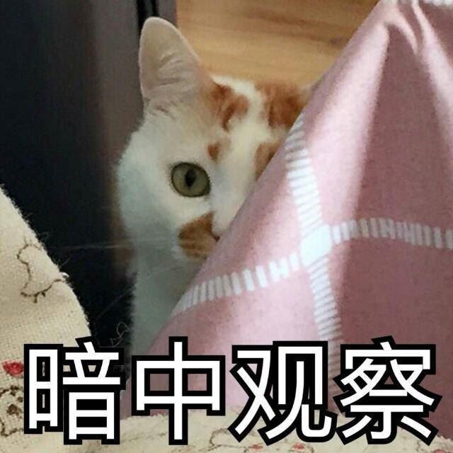 养猫干货：25~30元/斤的猫粮测评，总有一款适合你家猫