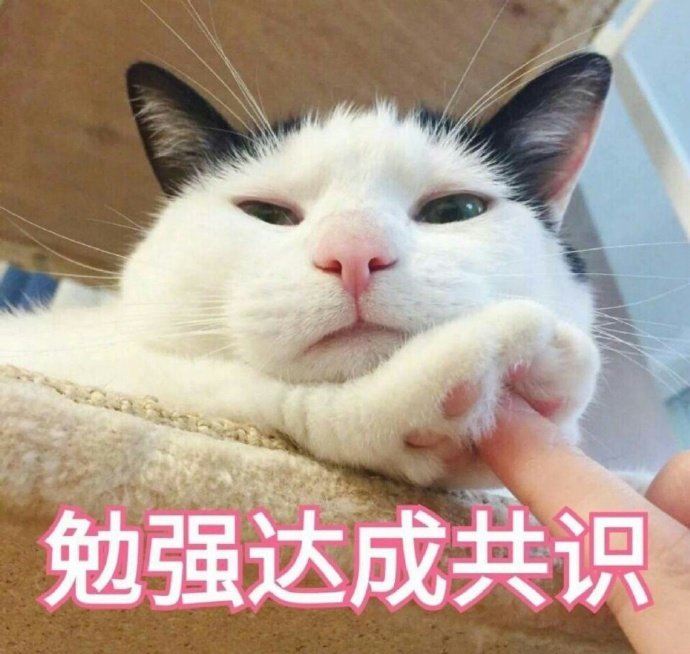 猫咪舔你的手脚，其实是有话想对你说，主人要重视