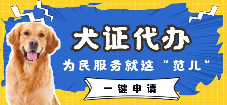 服务犬办理「犬证代办，服务到家！便民服务就这“范儿”！」