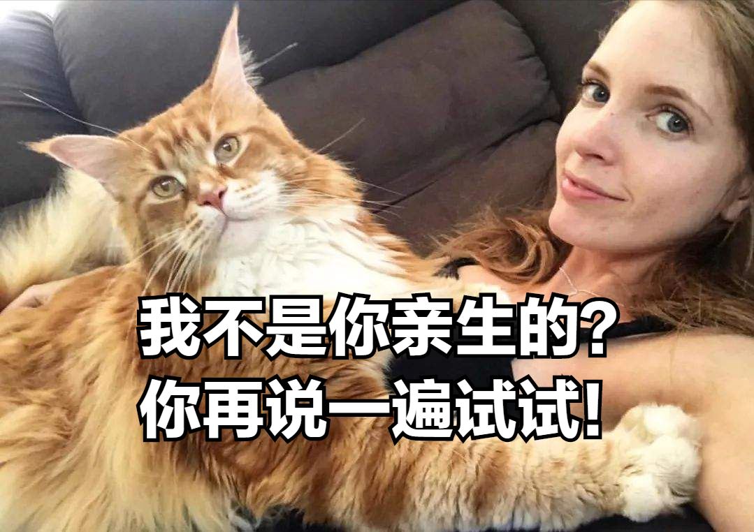 完了！我家猫以为是我亲生的，这还有救吗？