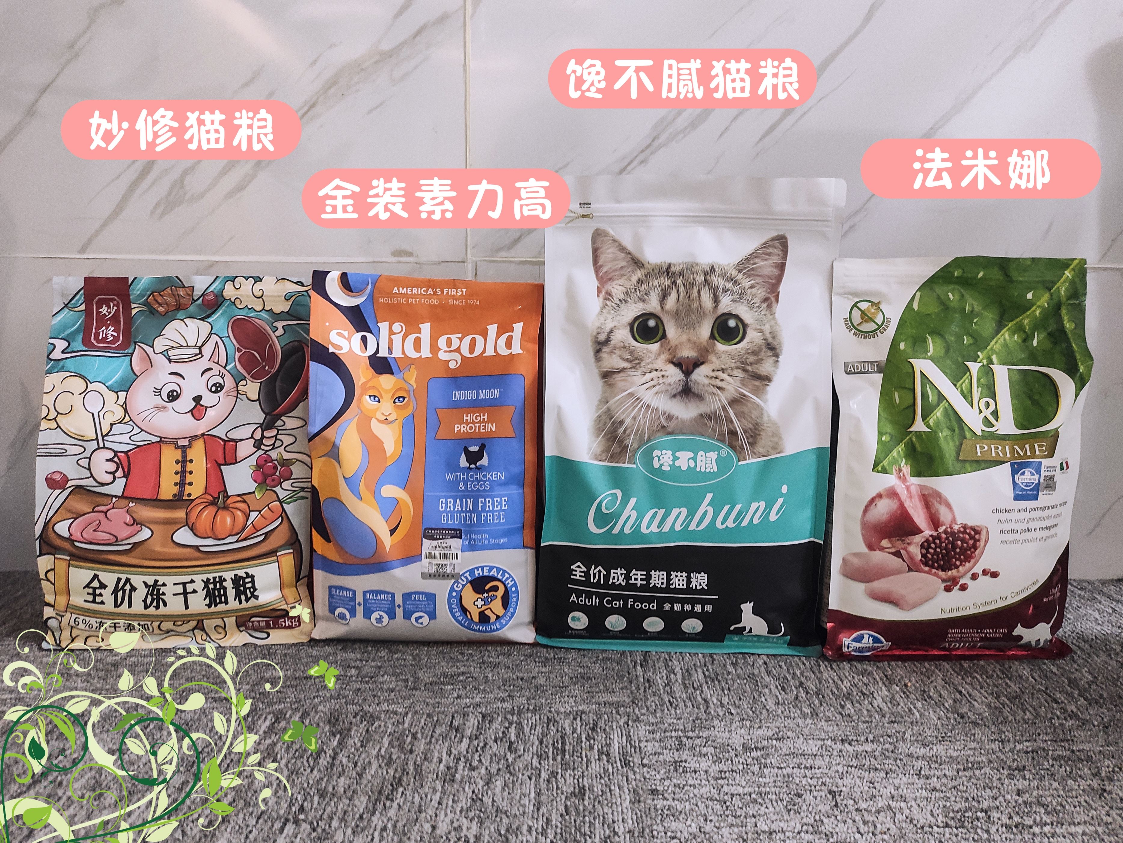 “有教养”的猫咪，一般会有这6个好习惯，你家猫有吗？