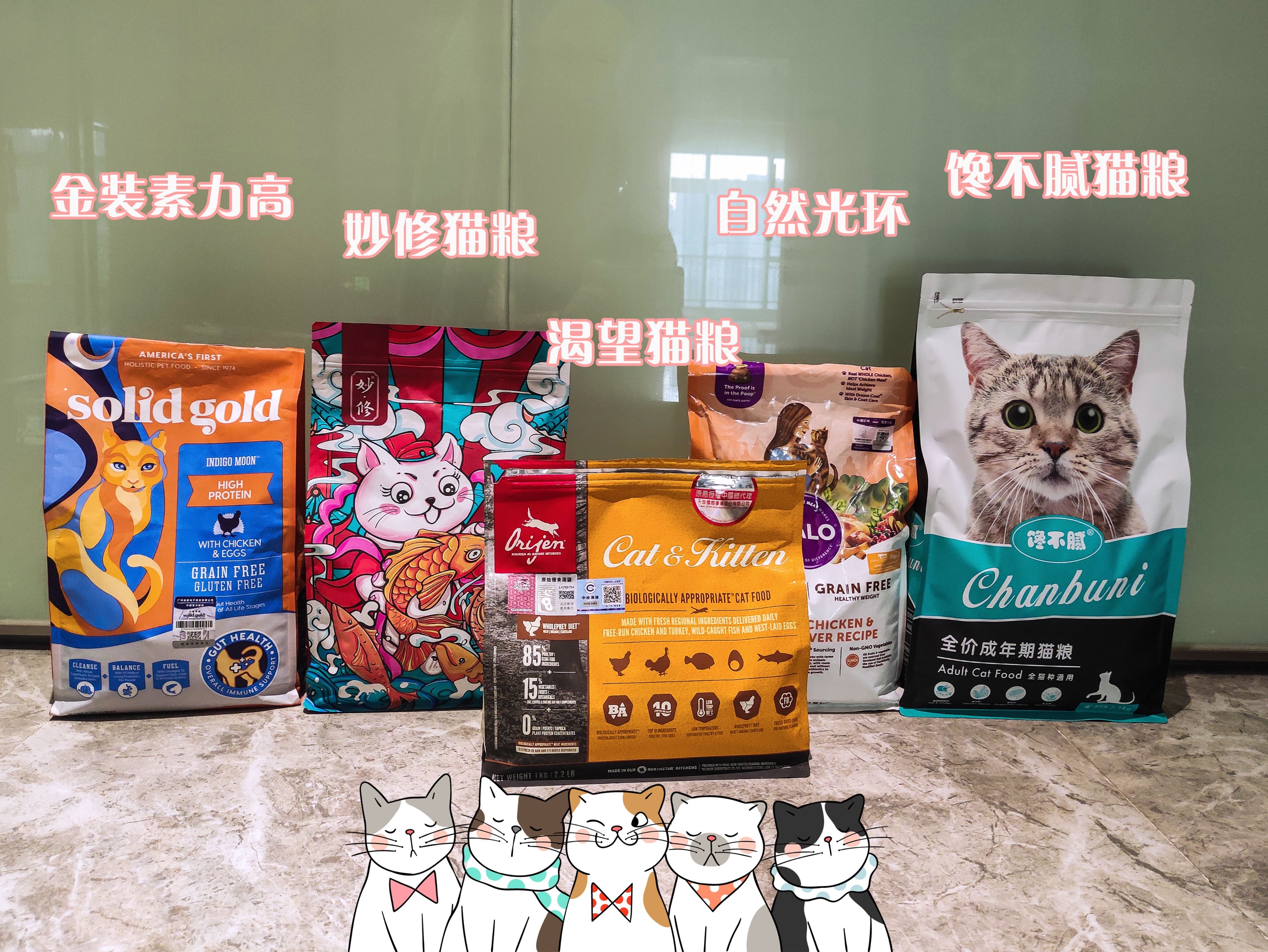 猫咪认你为“父母”的几种现象，看看你家猫是吗？