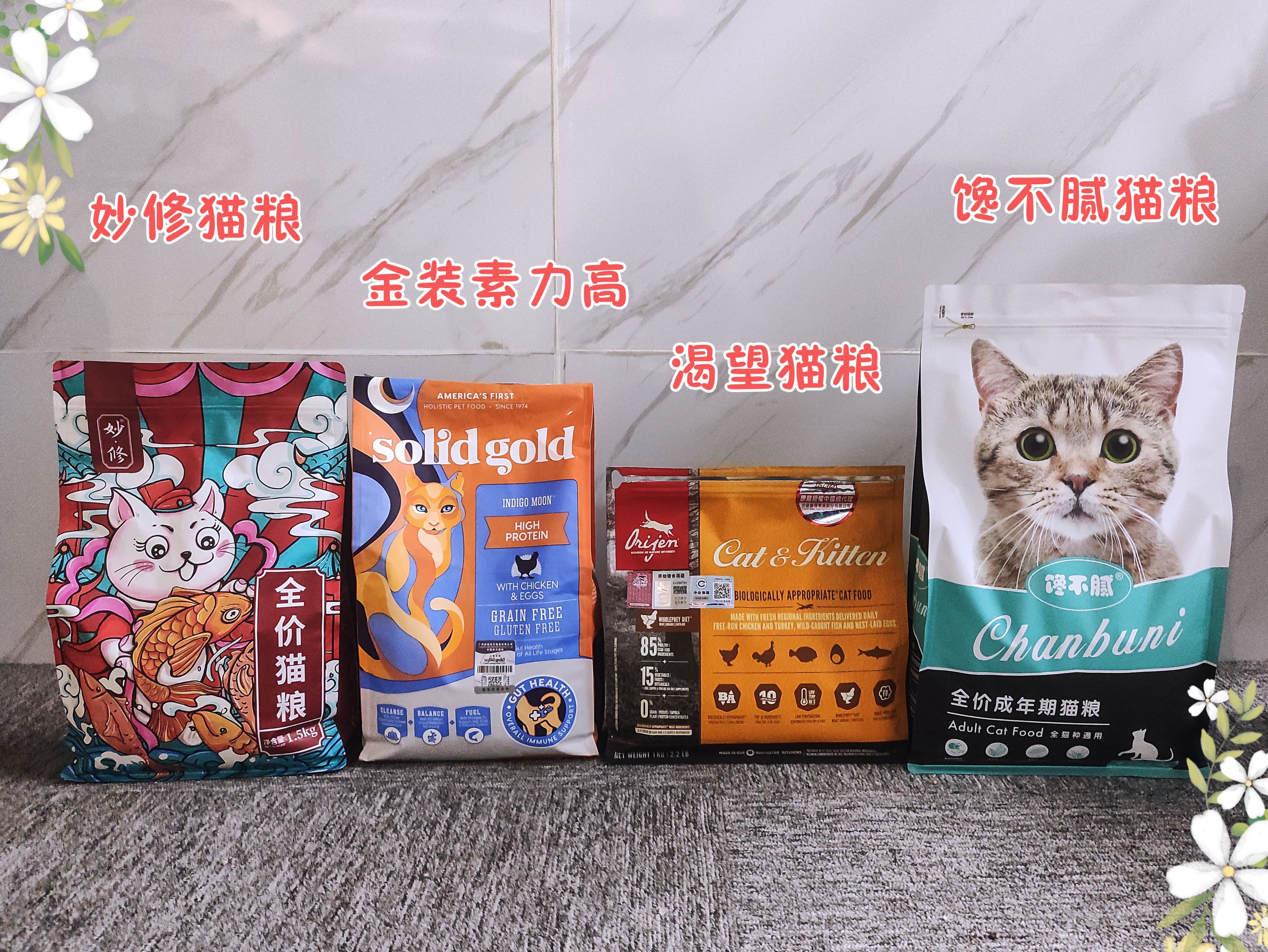 养猫也有段位？猫咪难养级别排行，你家猫在第几级？