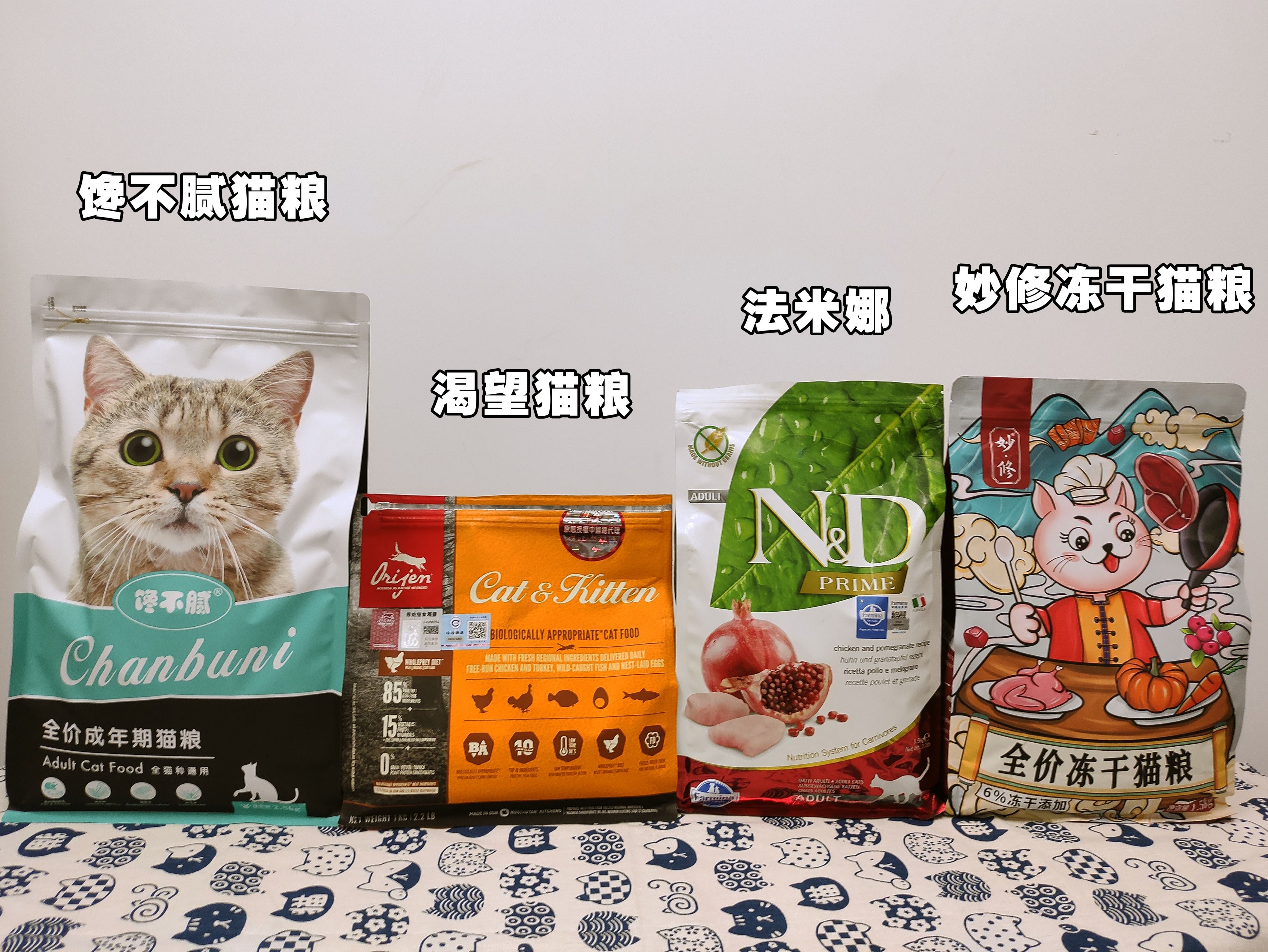 这些猫不要轻易养，一旦养了，就会赖上你一辈子