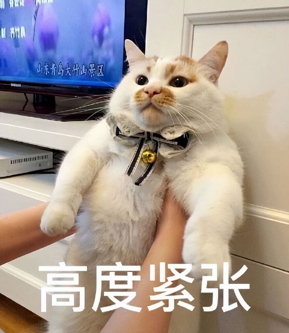 这几种情况，不要随便喊猫咪的名字，否则它会很伤心