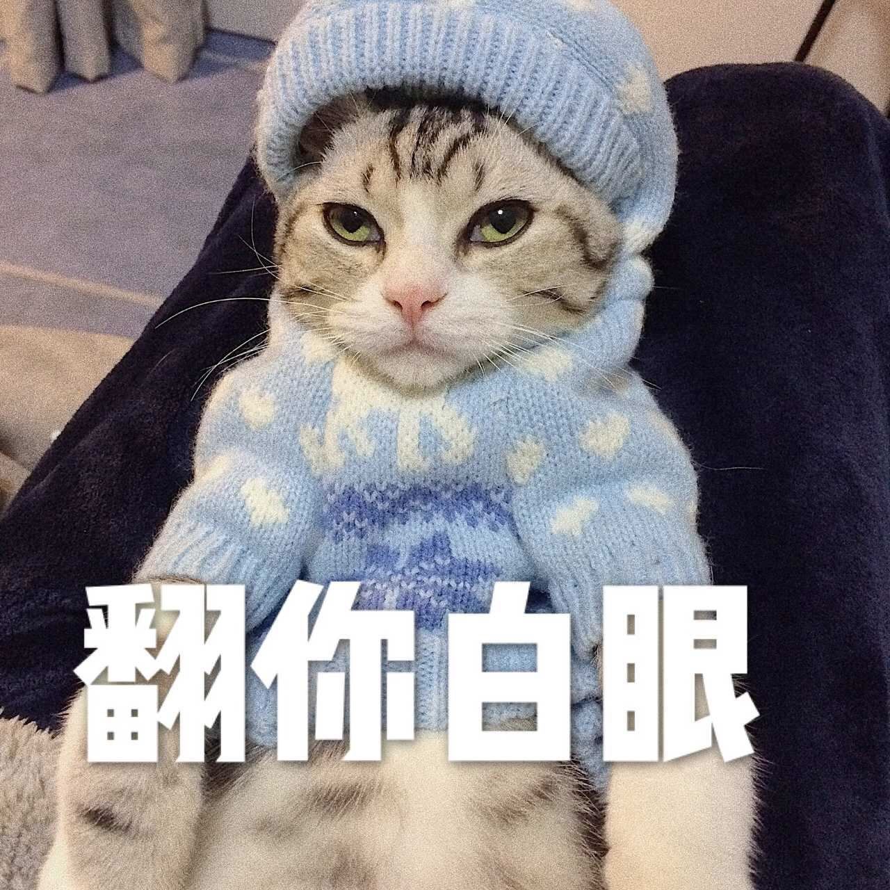 人们选择和猫咪睡觉，原来有这么多好处