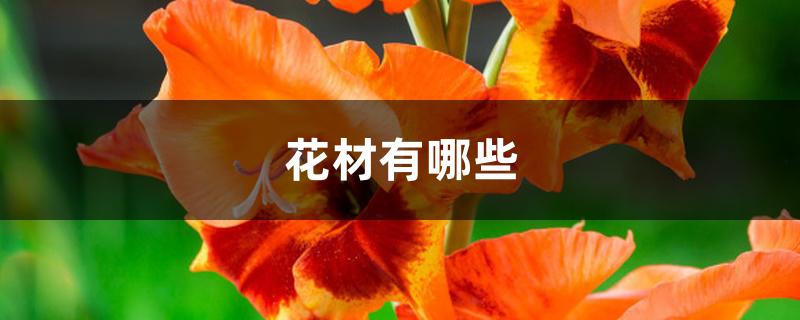 线状花材有哪些（花材有哪些）