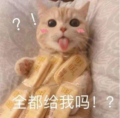 “养猫”和“不养猫”的区别，亲身经历告诉你，差别很大