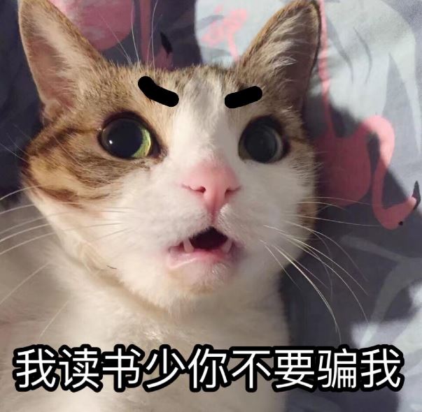 一句话劝退你养猫，看完觉得手里的猫不香了