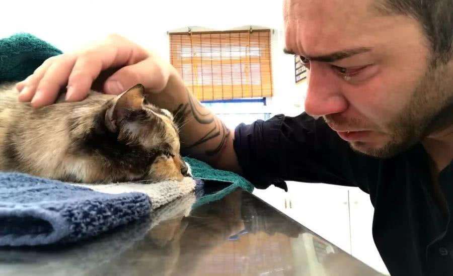 猫咪“临死前”都会做这几件事，它是在跟你告别，你做好准备了吗