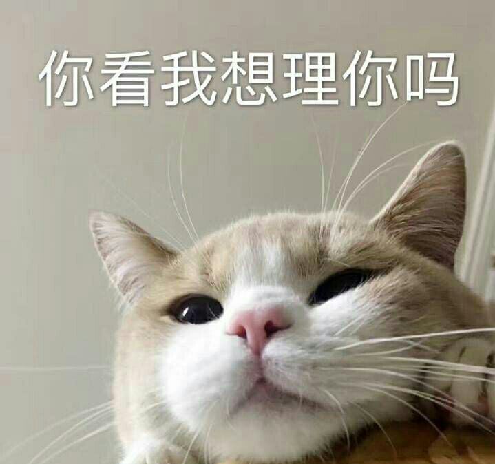 千万别对猫做这些事，即便你是它的主人，也会慢慢讨厌你