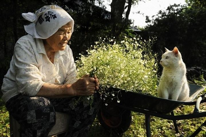 猫咪在生命尽头，会用这些方式向你告别