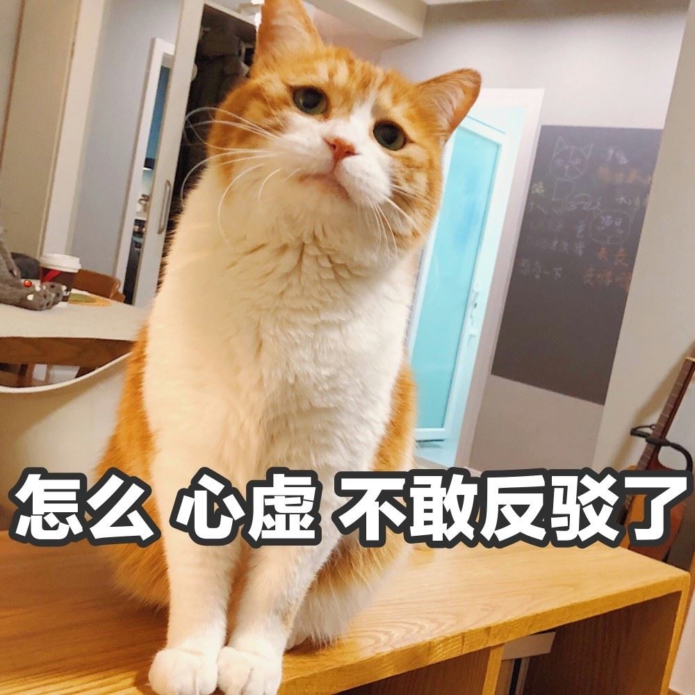 在猫咪心里，咬主人的手脚，代表这几种意思