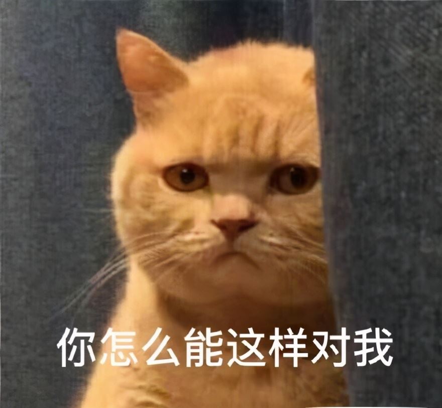 橘猫虽好，但终究还是躲不过这些“坑”