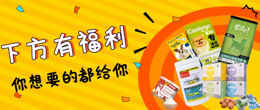 温馨提示文明养犬「文明养犬迎国庆~免费办证送豪礼~」