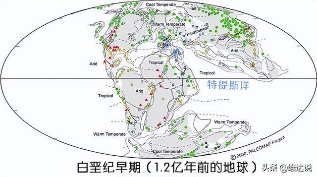 被子植物的一生的思维导图