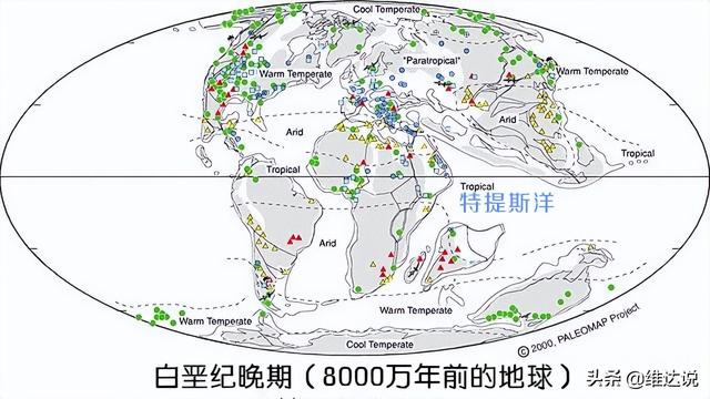 被子植物的一生的思维导图