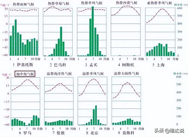 被子植物的一生的思维导图