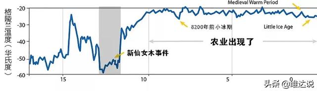 被子植物的一生的思维导图