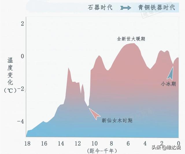 被子植物的一生的思维导图