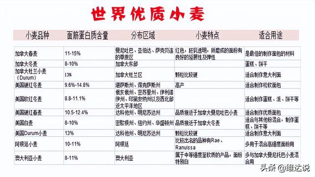 被子植物的一生的思维导图