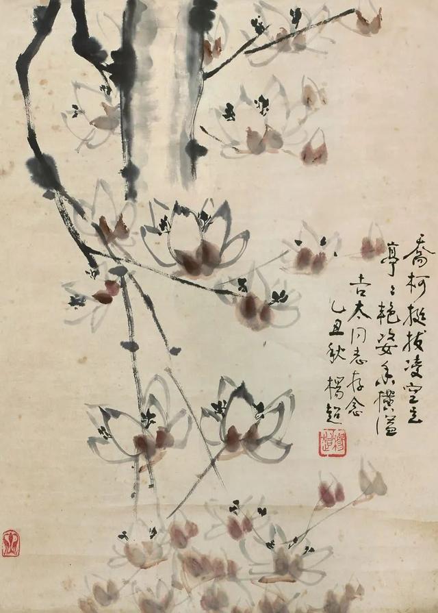 玉兰花花语和寓意