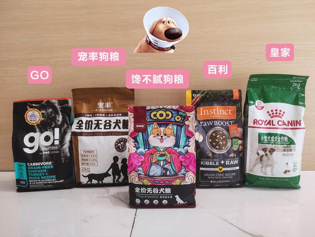 茶杯狗寿命是多久