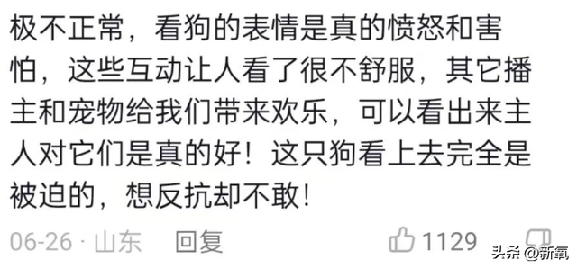 小狗罚站表情包