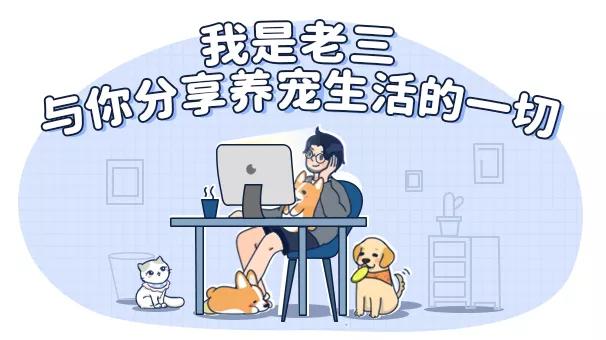 狗生猫是真的吗