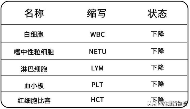 猫瘟症状有哪些