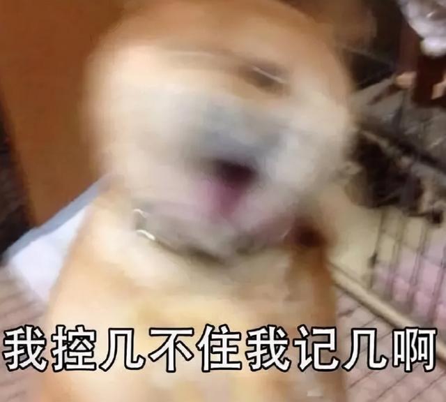 狗生猫是真的吗