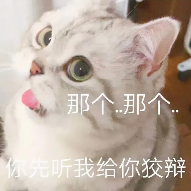 狗生猫是真的吗