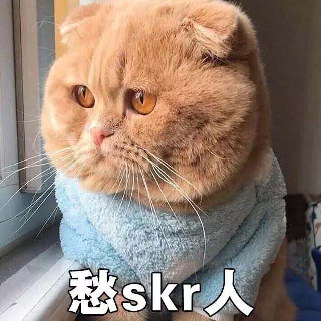 猫咪怎么托运到外地