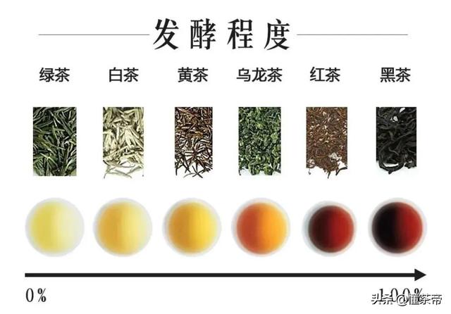 茶的品种有哪些