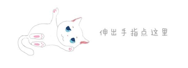 绣球猫可以接触吗