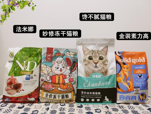 猫咪为什么喜欢睡在主人身上