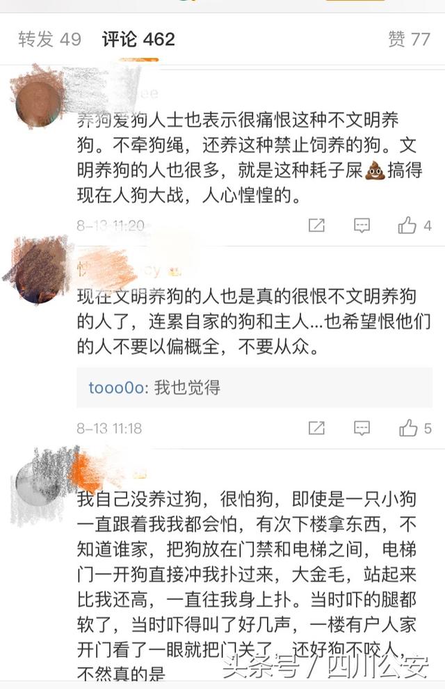 被小狗狗咬了怎么办