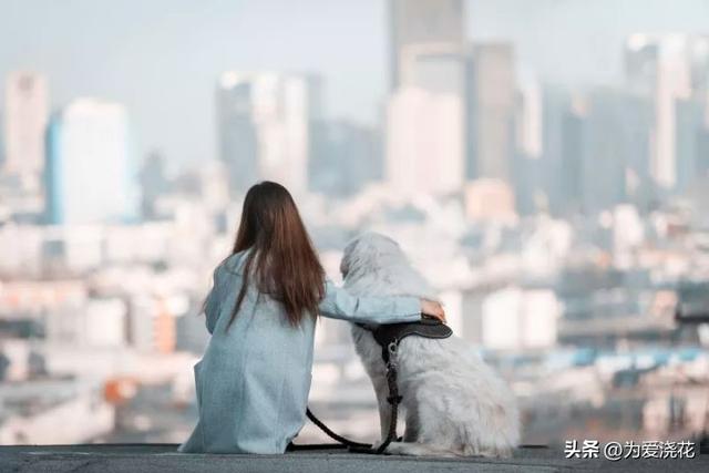 饲养宠物的好处