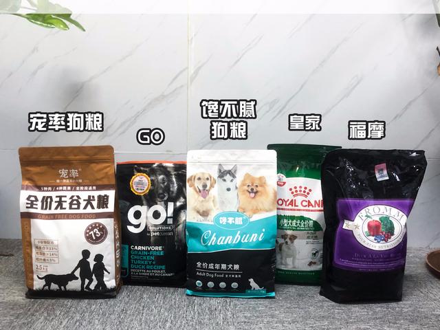 中国昆仑山脉犬价格