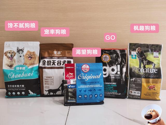 大型犬品种大全